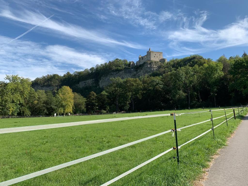 Hotel Garni Zum Rebstock Naumburg  Exterior foto