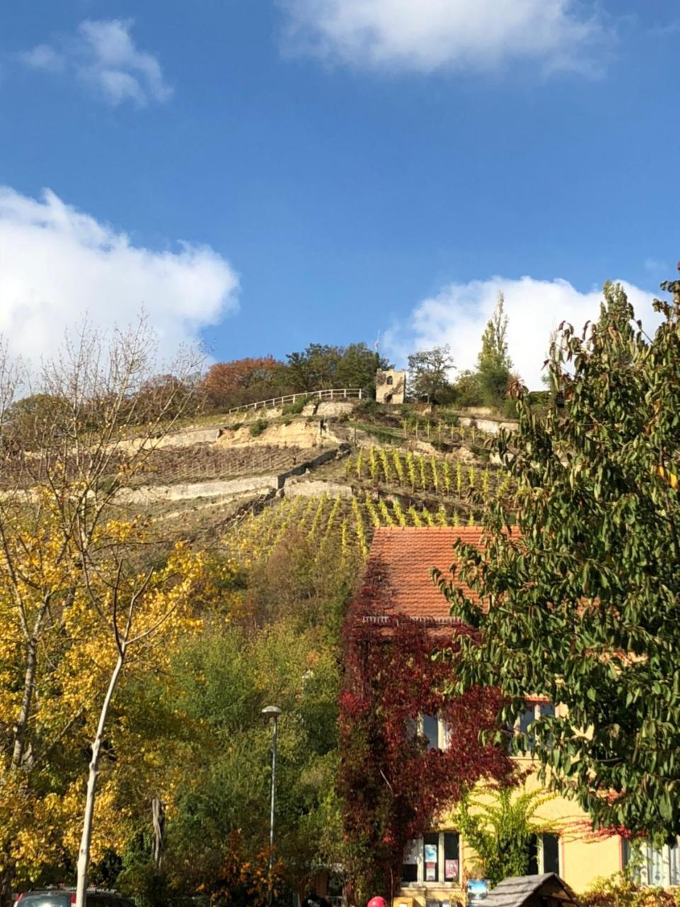 Hotel Garni Zum Rebstock Naumburg  Exterior foto